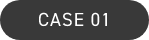 CASE01