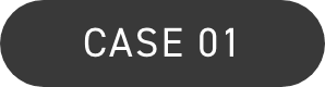 CASE01