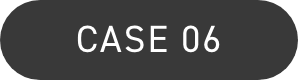 CASE06